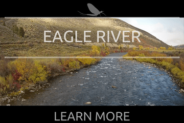 Eagle River