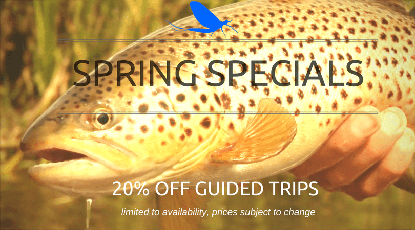 Spring Fly Fishing Specials