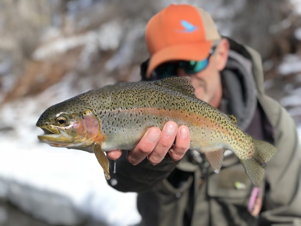 March Fly Fishing: Discounted Float Trips
